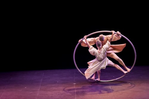 EnDiciembre_Purpusii-135